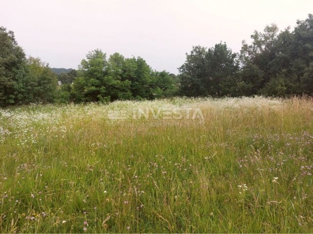Pozemok Na predaj - Istarska Tinjan - foto 2/6