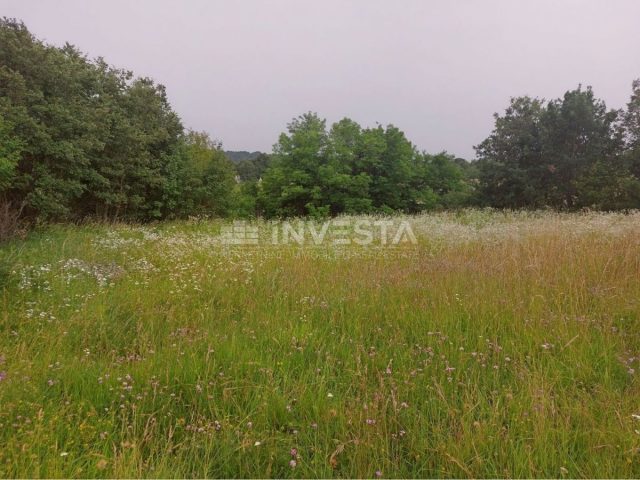 Pozemok Na predaj - Istarska Tinjan - foto 3/6