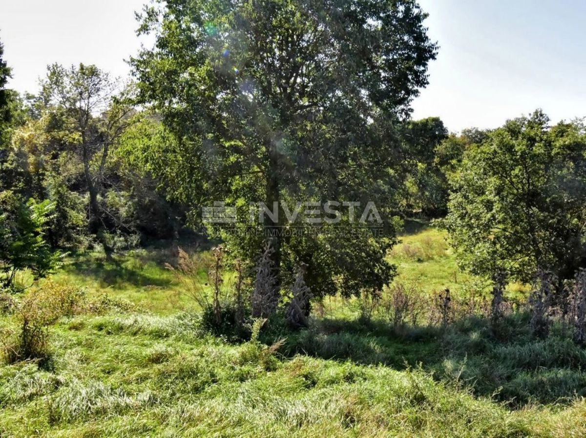 Terreno In vendita - ISTARSKA VODNJAN