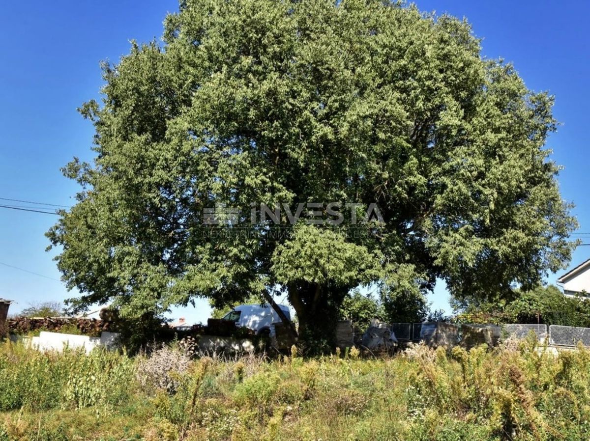 Terreno In vendita - ISTARSKA VODNJAN