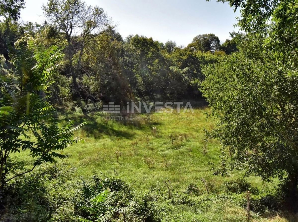Terreno In vendita - ISTARSKA VODNJAN