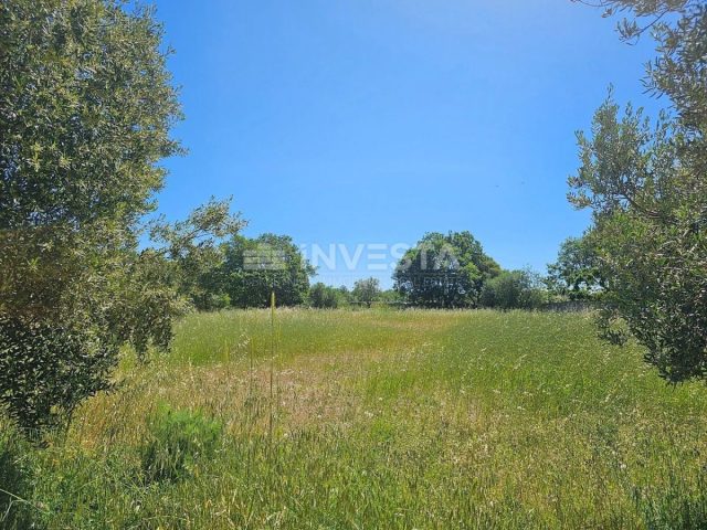 Terreno In vendita - Istarska Vodnjan - foto 3/9