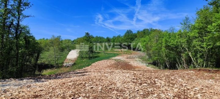 Działka Na sprzedaż - Istarska Barban - foto 5/8