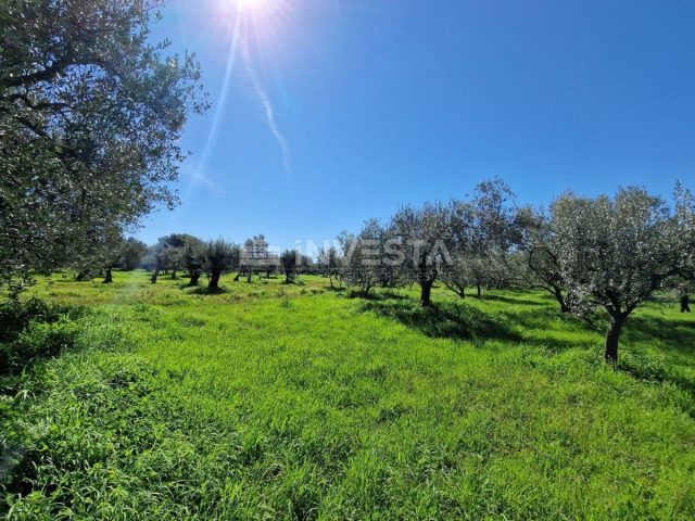 Land For sale - Istarska Vodnjan - foto 2/8