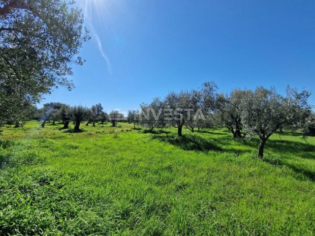 Land For sale - Istarska Vodnjan - foto 3/8