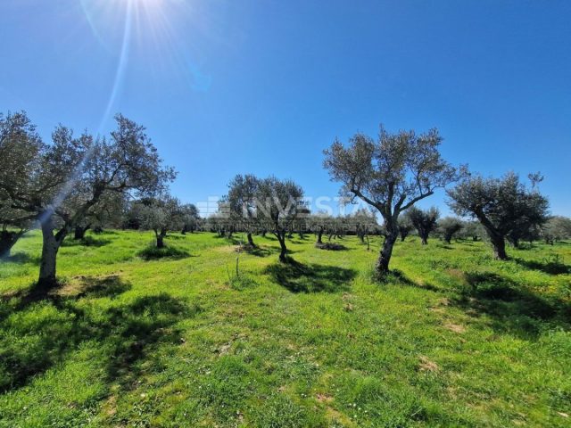 Land For sale - Istarska Vodnjan - foto 4/8