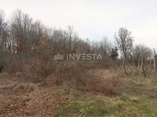 Parcela Naprodaj - Istarska Gračišće - foto 4/6
