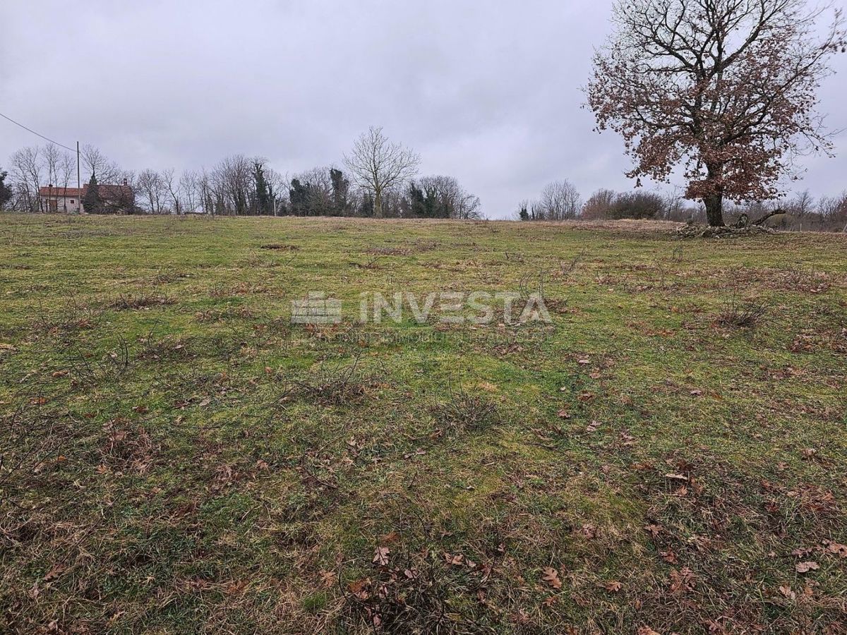 Terreno In vendita - ISTARSKA ŽMINJ