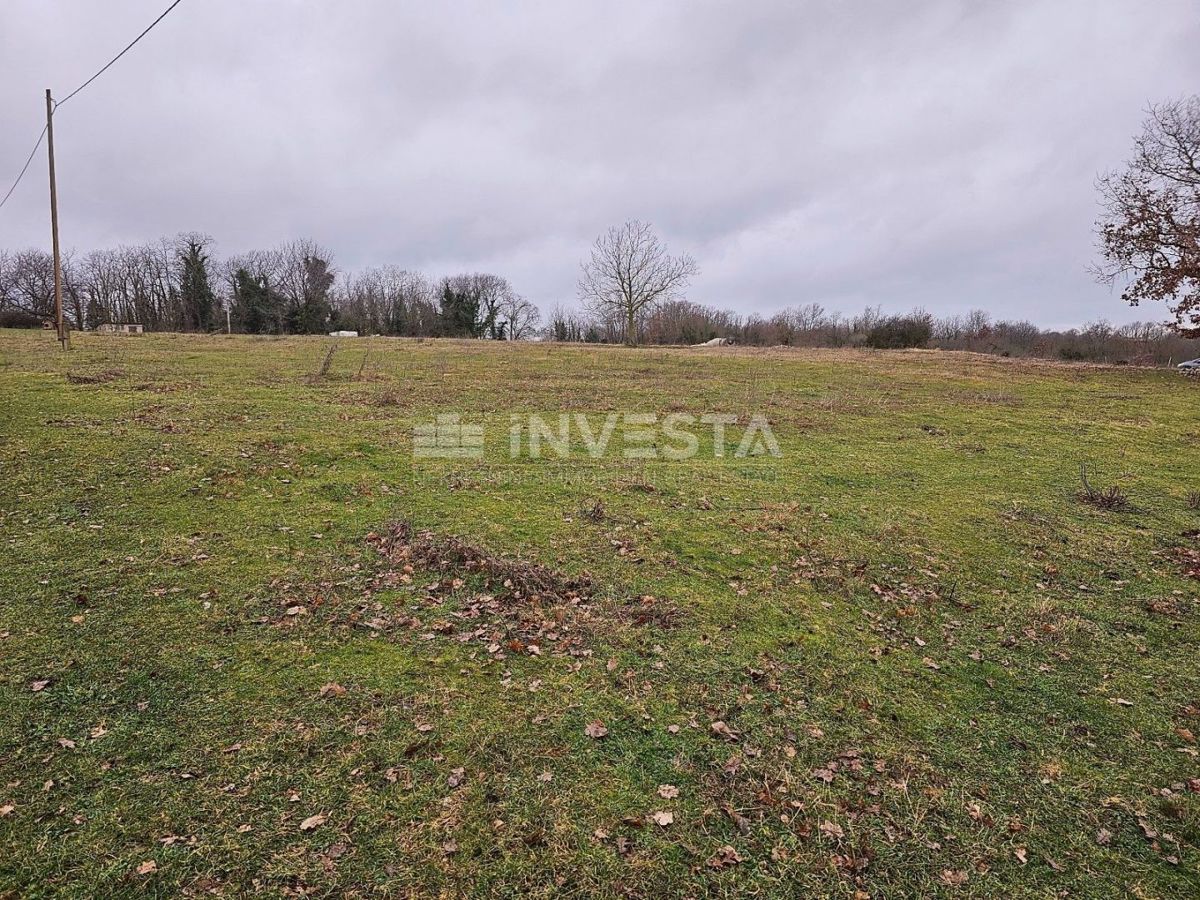 Terreno In vendita - ISTARSKA ŽMINJ