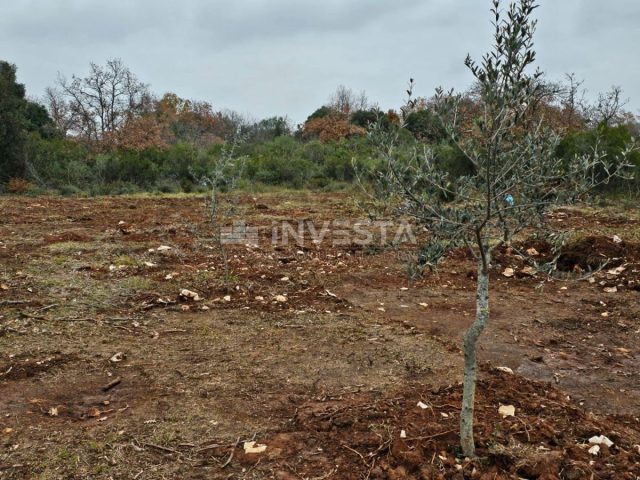 Land for sale 293 m² – Peroj