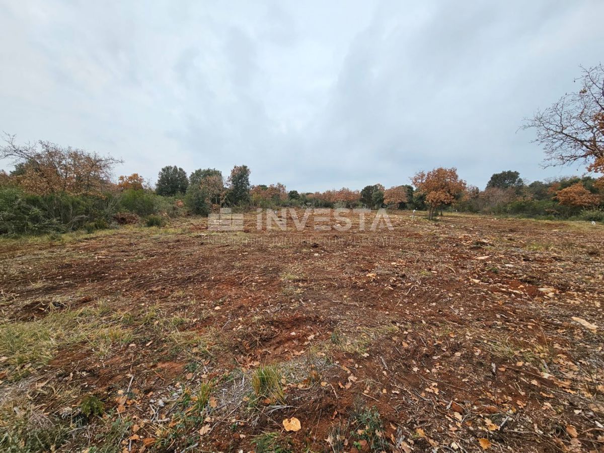 Terreno In vendita
