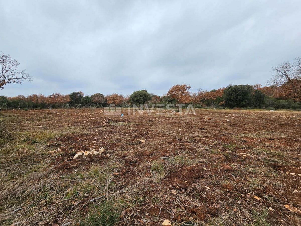 Terreno In vendita - ISTARSKA VODNJAN