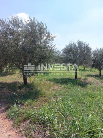 Działka na sprzedaż 2000 m² – Poreč