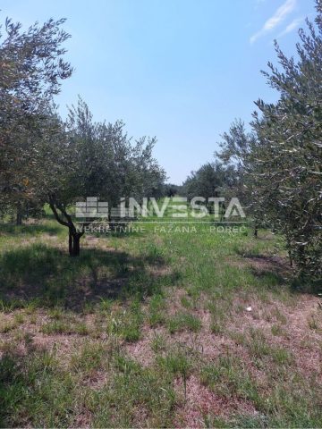 Grundstück Zu verkaufen - Istarska Poreč - foto 3/3