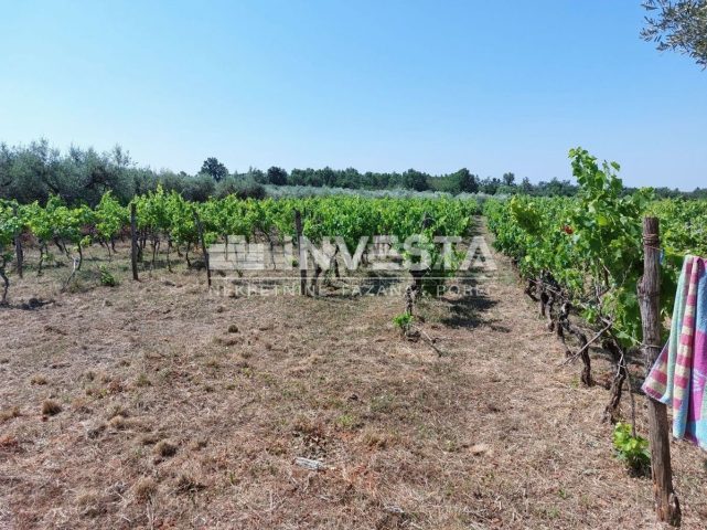 Terrain À vendre - Istarska Poreč - foto 2/6