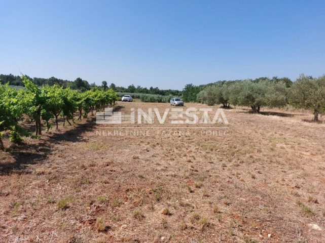 Terrain À vendre - Istarska Poreč - foto 5/6