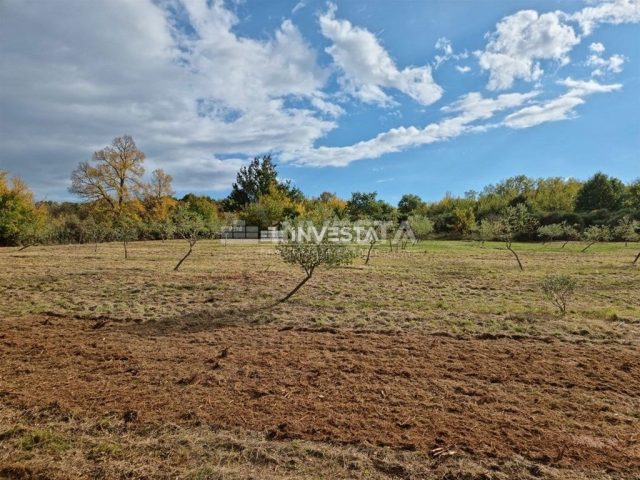 Działka na sprzedaż 13301 m² – Sveti Lovreč Pazenatički