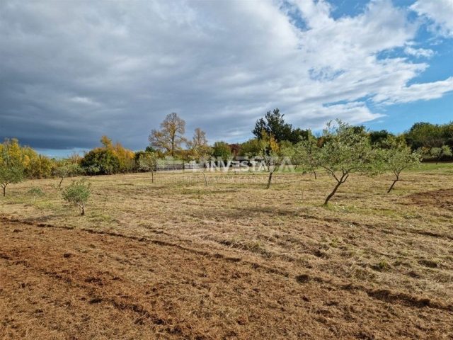 Terreno In vendita - Istarska Sveti Lovreč - foto 2/11