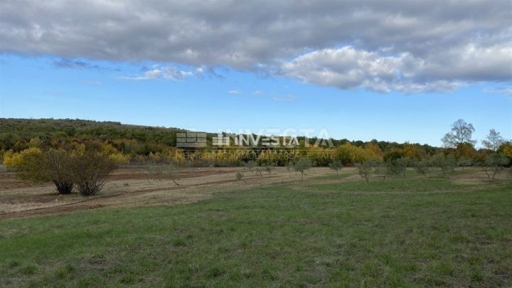 Terreno In vendita - Istarska Sveti Lovreč - foto 5/11