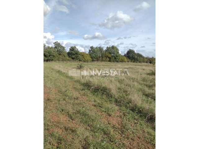 Zemljište na prodaju 10054 m² – Tar