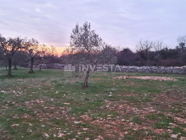 Zemljište na prodaju 4900 m² – Vodnjan