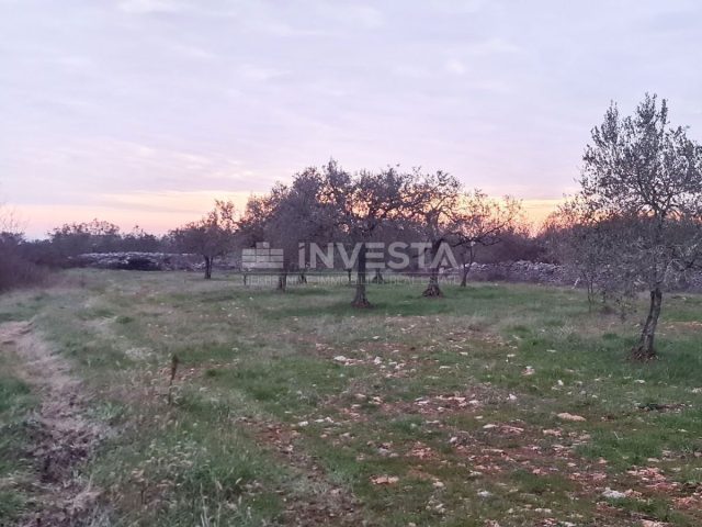 Land For sale - Istarska Vodnjan - foto 2/7
