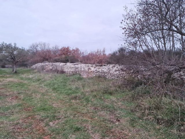 Land For sale - Istarska Vodnjan - foto 3/7