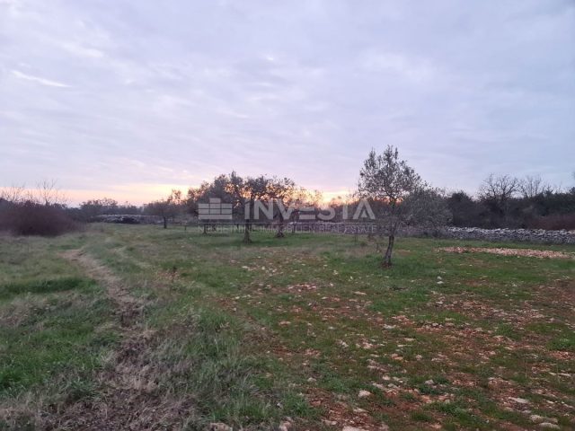 Land For sale - Istarska Vodnjan - foto 4/7