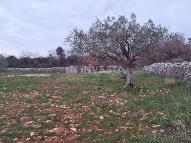 Land For sale - Istarska Vodnjan - foto 5/7