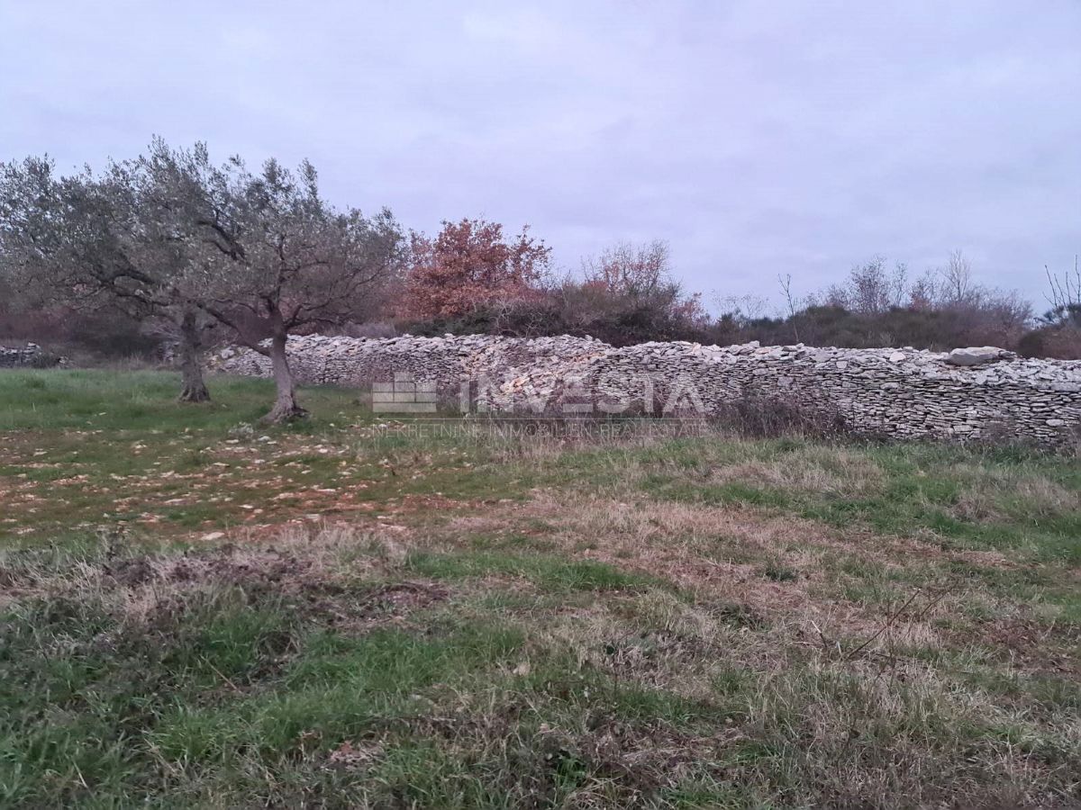 Pozemok Na predaj - ISTARSKA VODNJAN