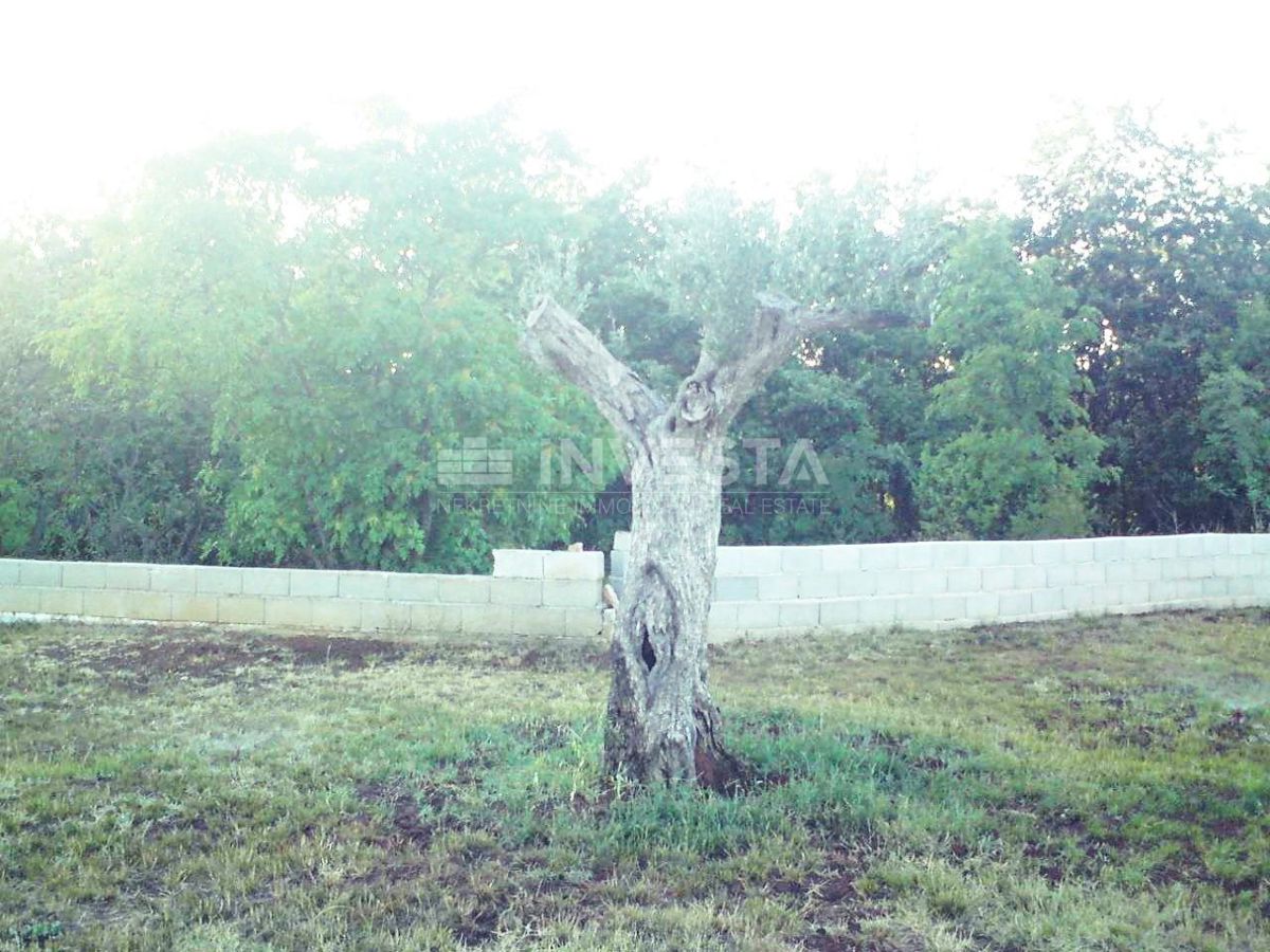 House For sale - ISTARSKA MARČANA