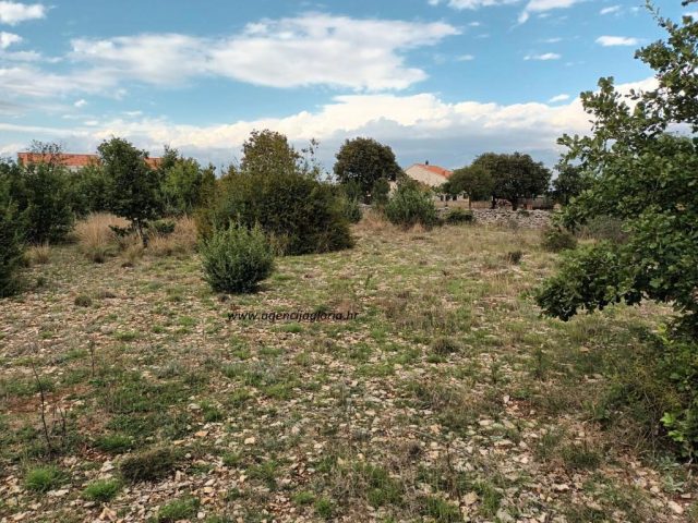 Pozemok na predaj 1819 m² – Pridraga