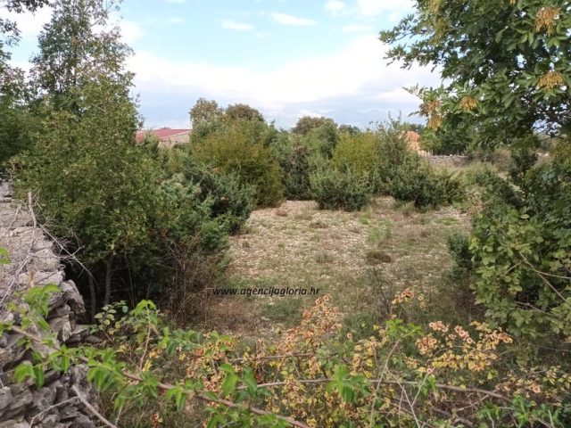 Parcela Naprodaj - Zadarska Novigrad - foto 3/3