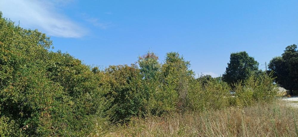 Terreno In vendita - ISTARSKA MARČANA