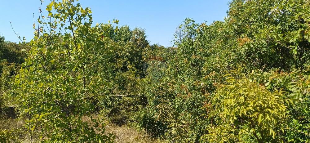 Terreno In vendita - ISTARSKA MARČANA