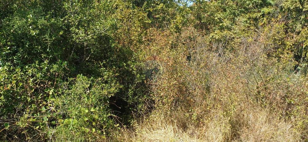 Terreno In vendita - ISTARSKA MARČANA