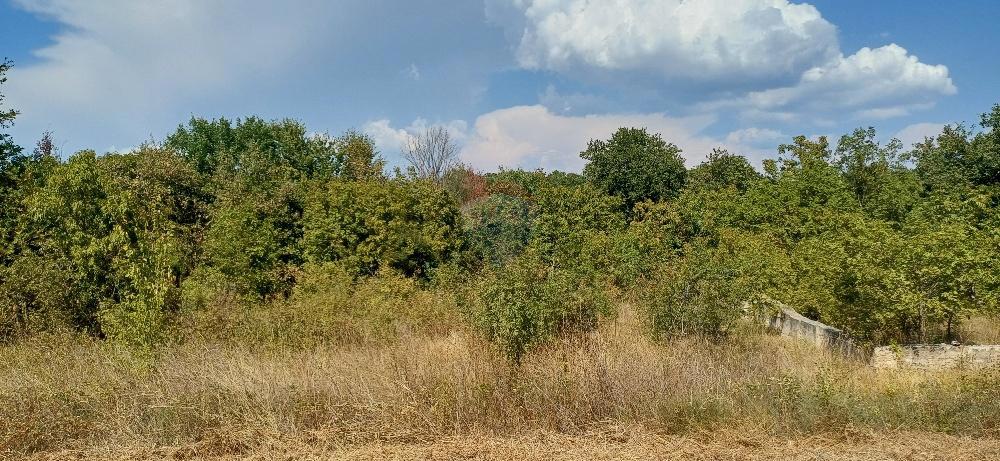 Terreno In vendita - ISTARSKA MARČANA