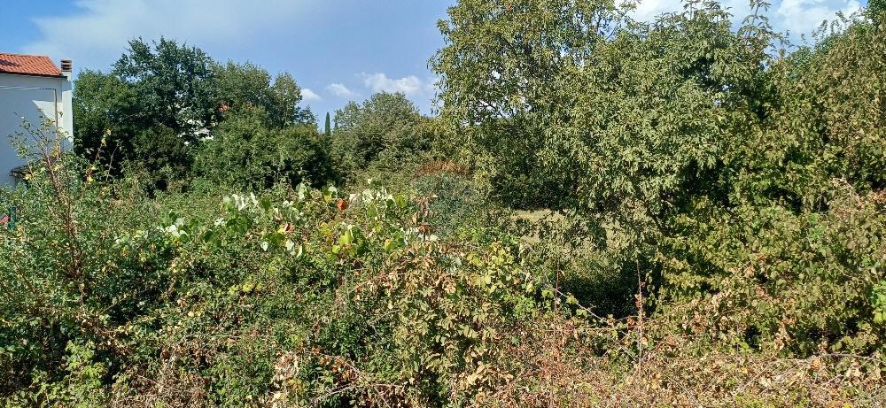 Terreno In vendita - ISTARSKA MARČANA