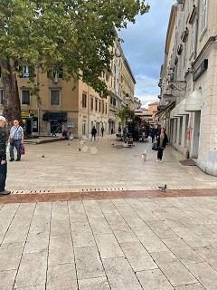 Commerciale da affittare – Rijeka