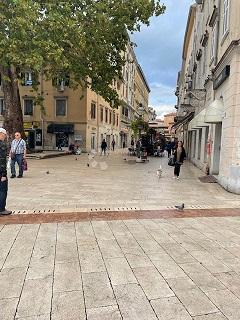 Commerciale Da affittare - Primorsko-goranska Rijeka - foto 1/2