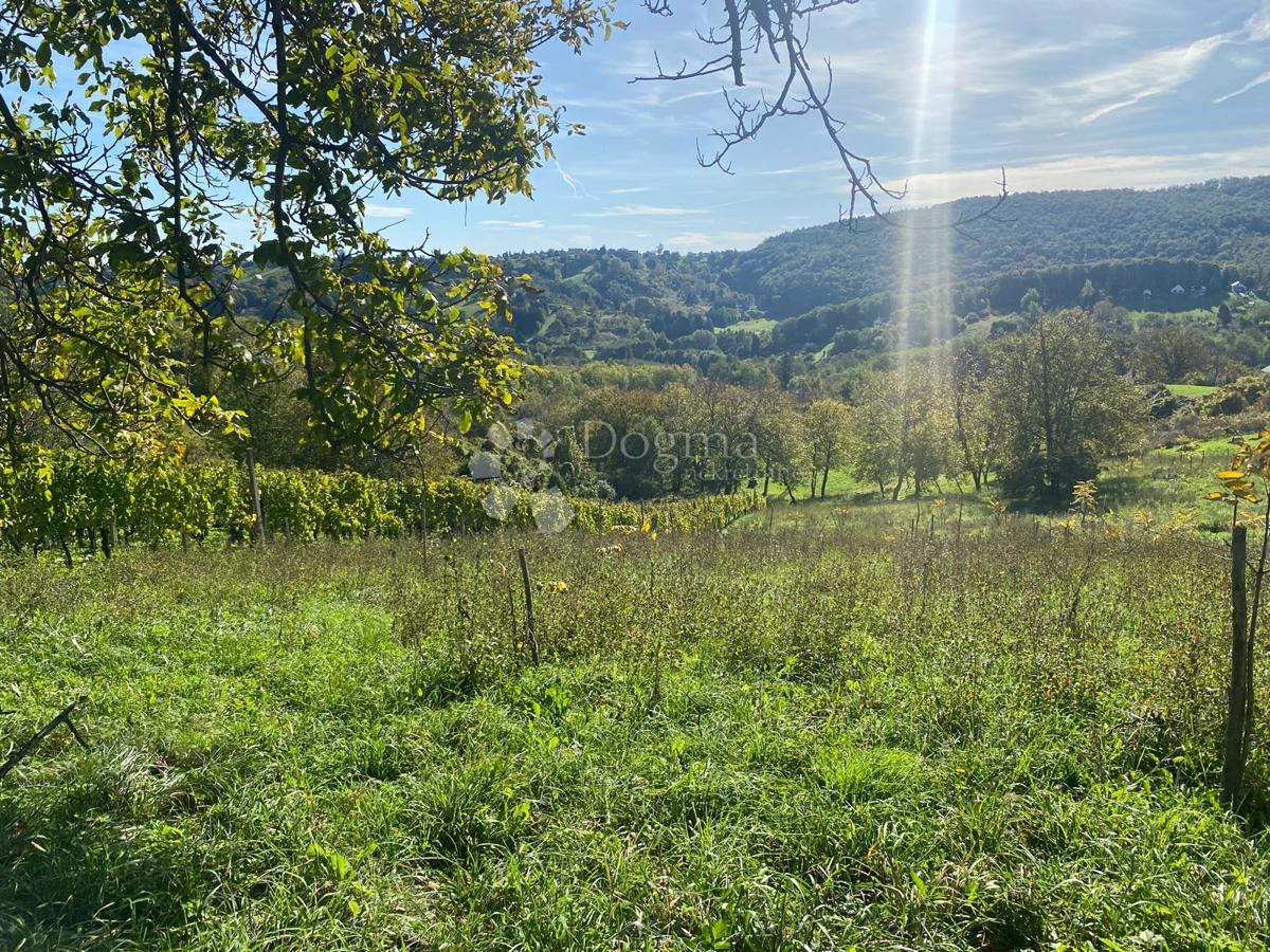 Działka Na sprzedaż - Varaždinska Gornji Kneginec - foto 4/5