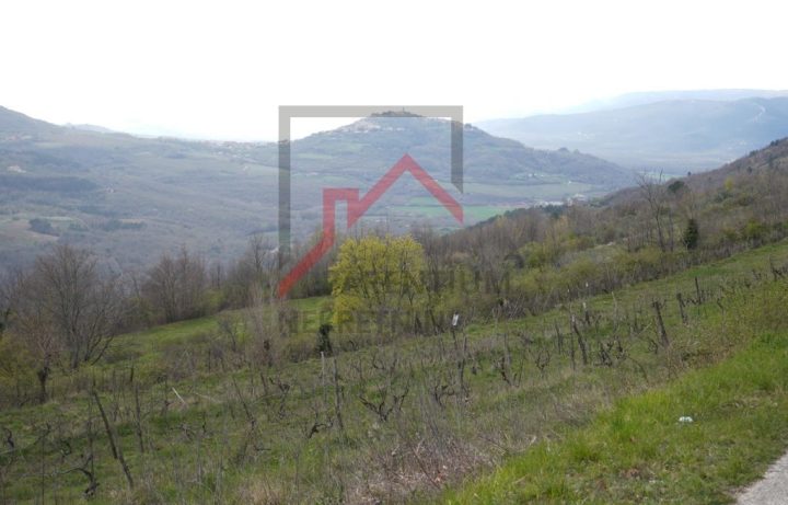 Land For sale - Istarska Motovun - foto 4/7