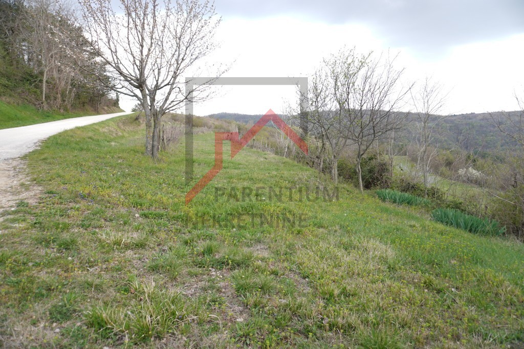 Land For sale - ISTARSKA MOTOVUN