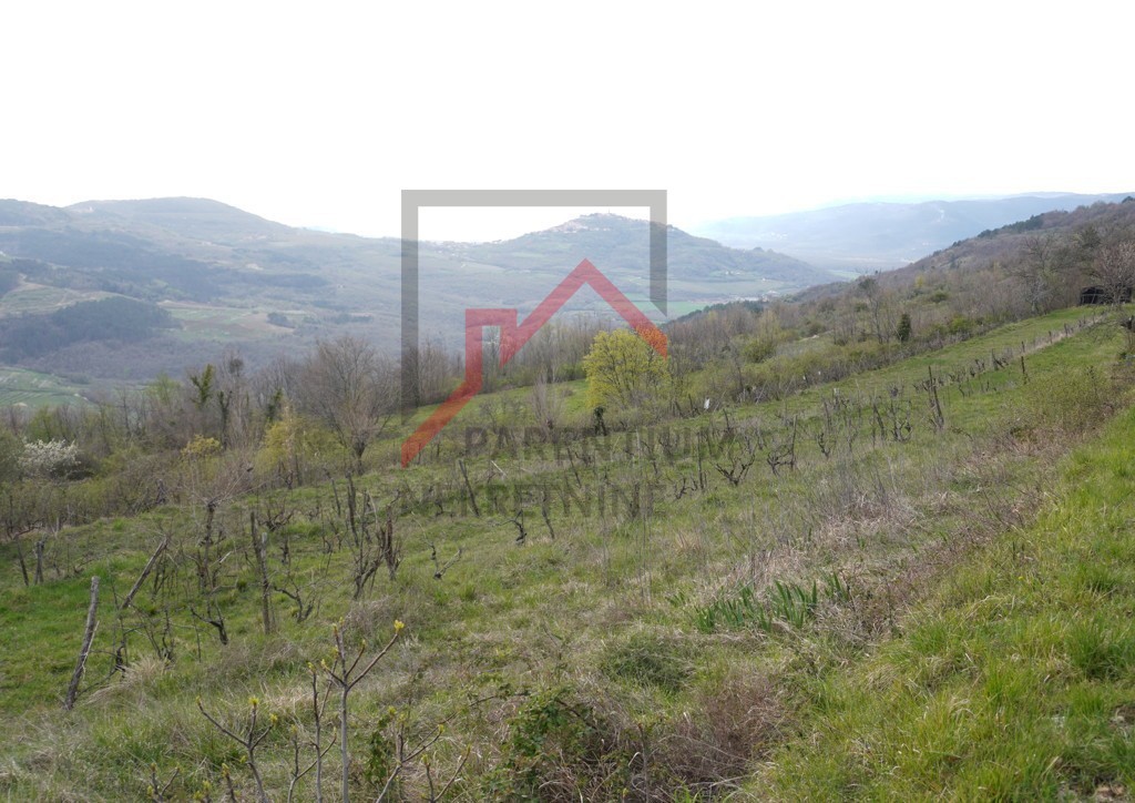 Land For sale - ISTARSKA MOTOVUN