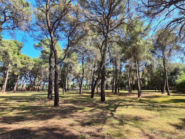 Terrain à vendre – Rovinj