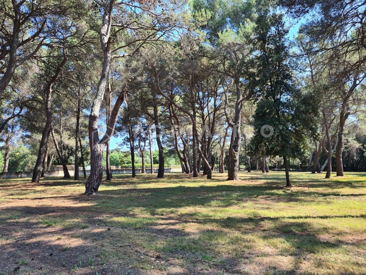 Land For sale - ISTARSKA ROVINJ