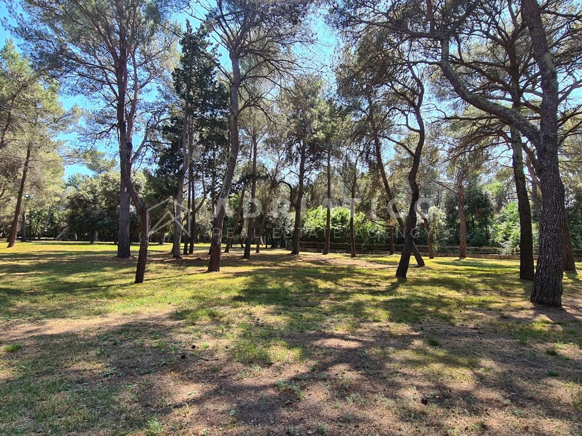 Land For sale - ISTARSKA ROVINJ