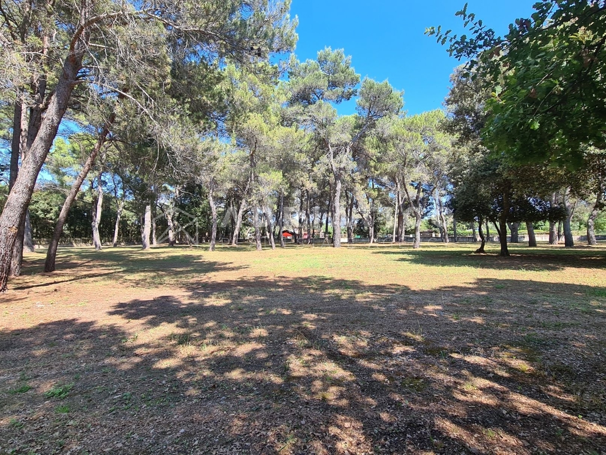 Land For sale - ISTARSKA ROVINJ