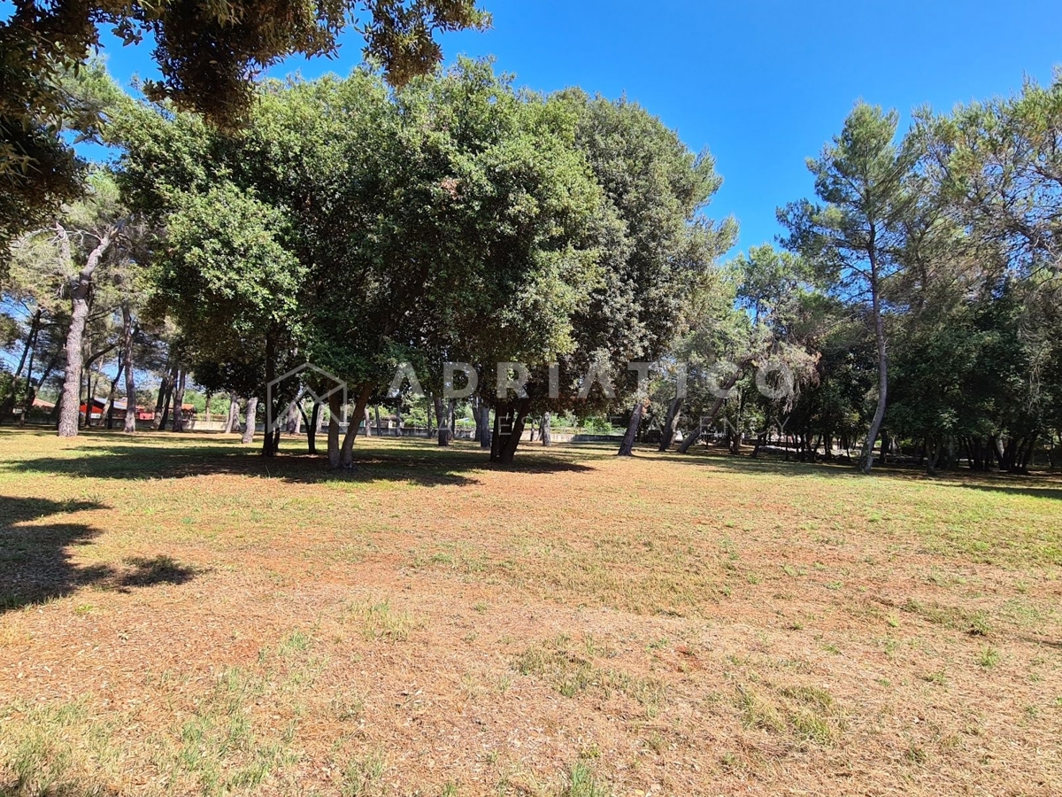 Land For sale - ISTARSKA ROVINJ