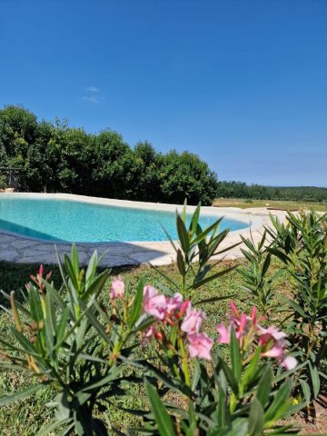 House For sale - Istarska Vižinada - foto 3/36